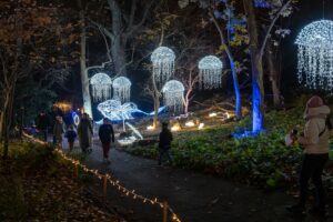 Ogród świateł Lumagica - morze w sezonie 2025/26