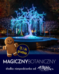 Akcja promocyjna w ogrodzie świateł Lumagica 2025r.